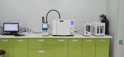 环氧乙烷残留检测专用气相色谱仪